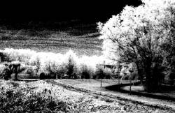 Beyond Light : The Blessing of a Dead Sun